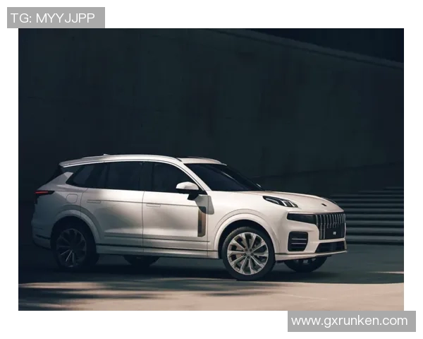 火箭评分出炉：是高光还是低迷？